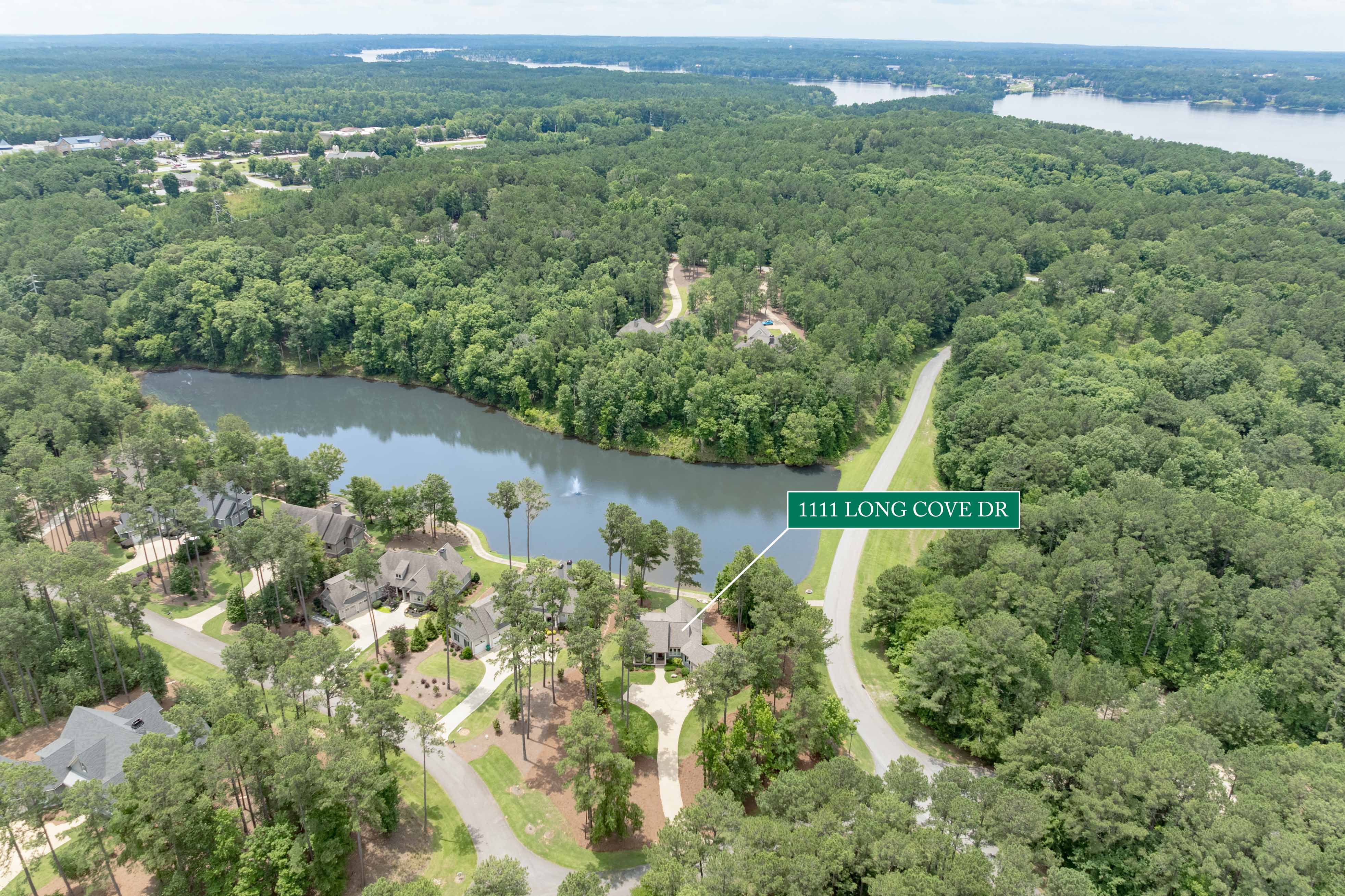 1111 Long Cove Drive image 41